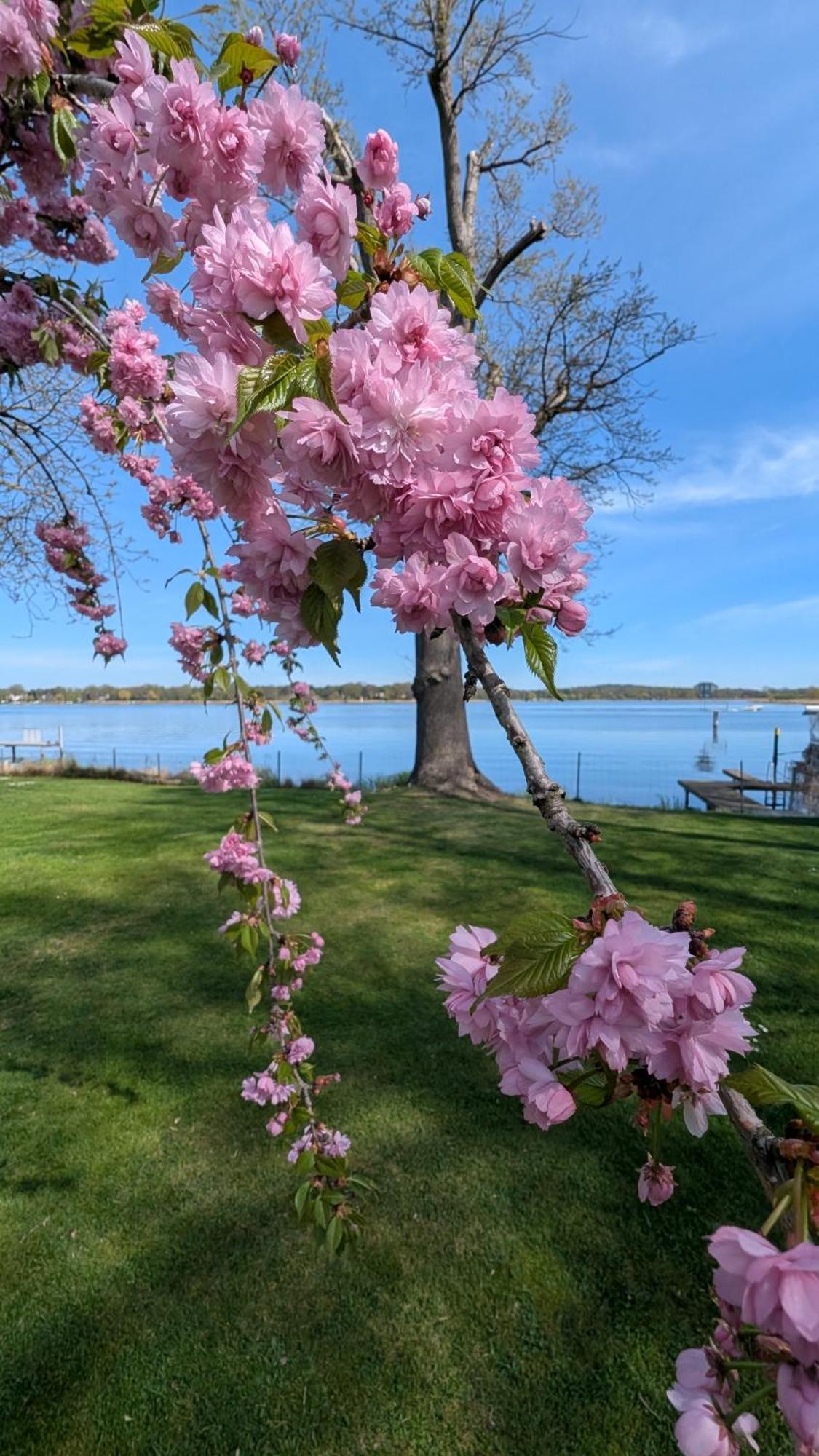 Casa Sul Lago Werder  Buitenkant foto